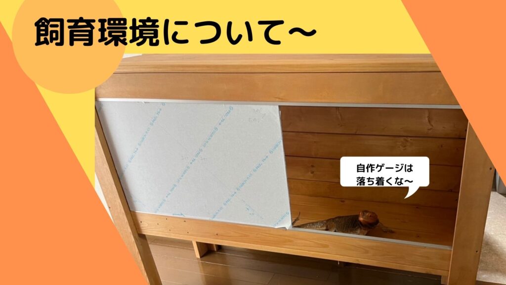 フトアゴヒゲトカゲ 自作ゲージ